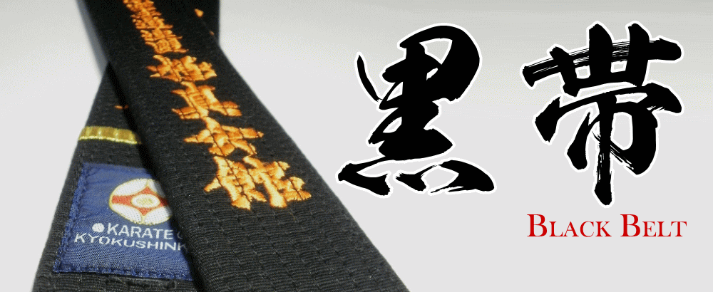 ���с`Black Belt�` �ɐ^���i�ɐ^��فj�ɓ��債���тɂȂ邽�߂̓O��K�C�h