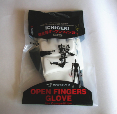 �ɐ^��ف@�ꌂ�I�[�v���t�B���K�[�O���[�u